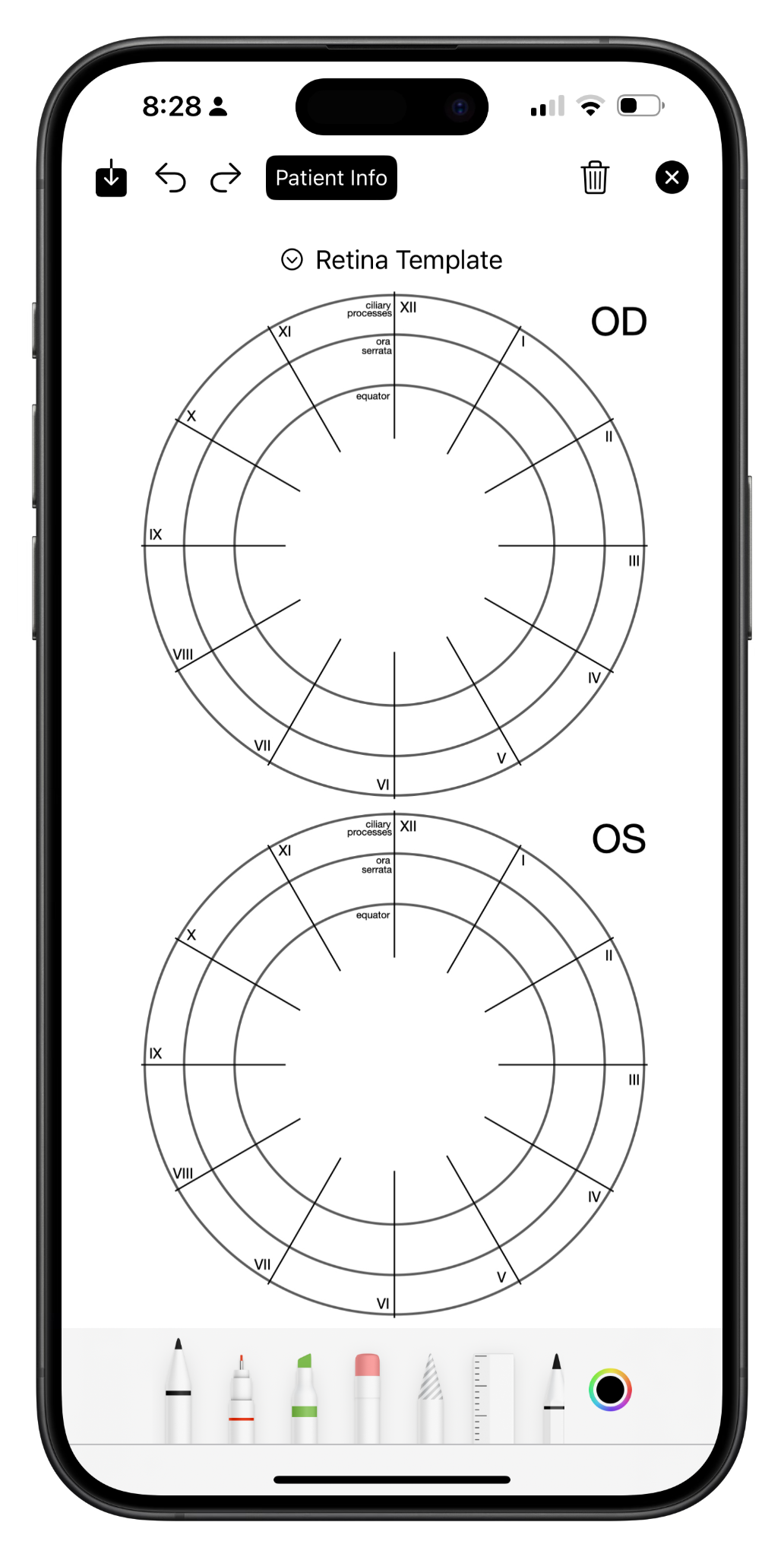 Retina Drawing